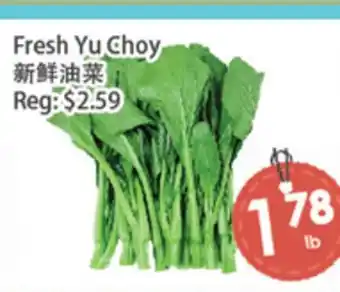 Fresh Palace Supermarket Fresh Yu Choy offer