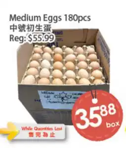 Fresh Palace Supermarket Medium Eggs 180pcs offer