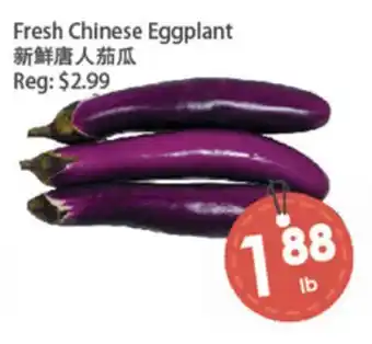 Fresh Palace Supermarket Fresh Chinese Eggplant offer