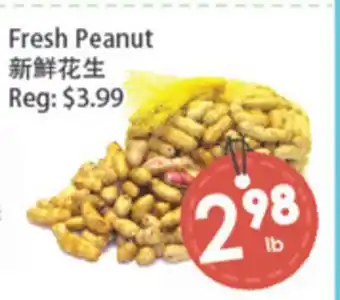 Fresh Palace Supermarket Fresh Peanut offer