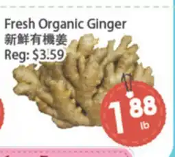 Fresh Palace Supermarket Fresh Organic Ginger offer