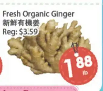 Fresh Palace Supermarket Fresh Organic Ginger offer