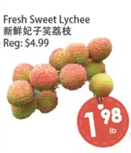 Fresh Palace Supermarket Fresh Sweet Lychee offer