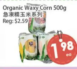 Fresh Palace Supermarket Organic Waxy Corn offer