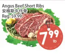Fresh Palace Supermarket Angus Beef Short Ribs offer