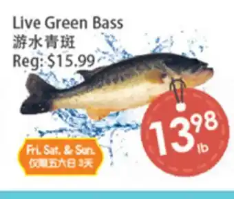 Fresh Palace Supermarket Live Green Bass offer