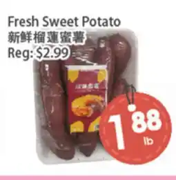 Fresh Palace Supermarket Fresh Sweet Potato offer