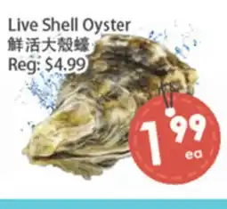 Fresh Palace Supermarket Live Shell Oyster offer