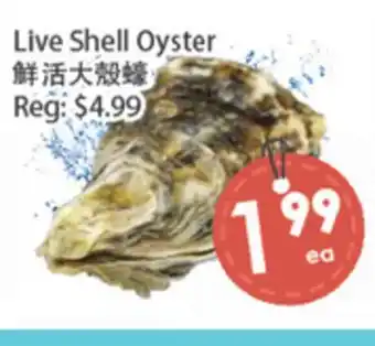Fresh Palace Supermarket Live Shell Oyster offer