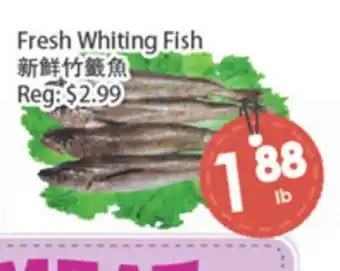 Fresh Palace Supermarket Fresh Whiting Fish offer