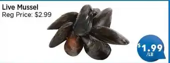 Blue Sky Supermarket Live Mussel offer