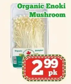 Nations Fresh Foods Organic Enoki Mushroom offer