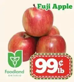 Nations Fresh Foods Fuji Apple offer