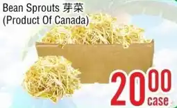 Ethnic Supermarket Bean Sprouts offer