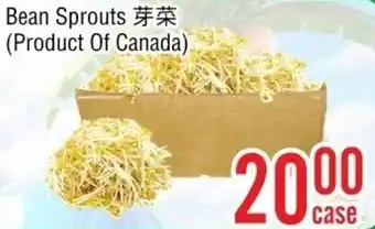 Bean Sprouts