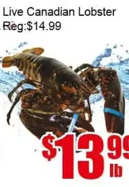 New Pacific Supermarket Live Canadian Lobster offer