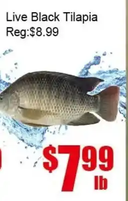 New Pacific Supermarket Live Black Tilapia offer