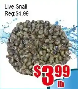 New Pacific Supermarket Live Snail offer