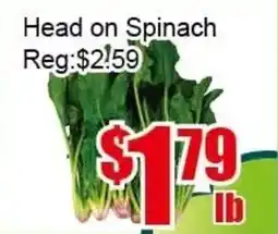 New Pacific Supermarket Head on Spinach offer