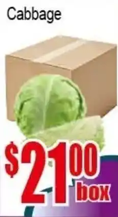 New Pacific Supermarket Cabbage offer