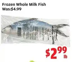 Top Food Supermarket Frozen Whole Milk Fish offer
