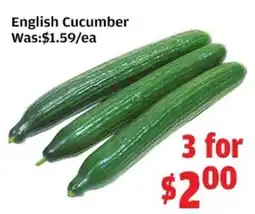 Top Food Supermarket English Cucumber offer