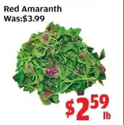 Top Food Supermarket Red Amaranth offer