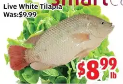 Top Food Supermarket Live White Tilapia offer