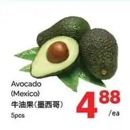 T&T Supermarket Avocado (Mexico) offer