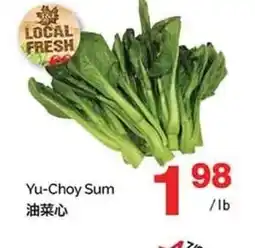 T&T Supermarket Yu-Choy Sum offer