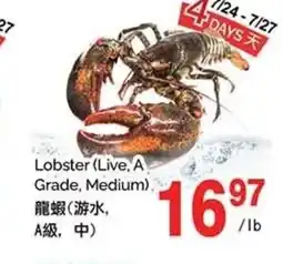 T&T Supermarket Lobster (Live, A Grade, Medium). offer