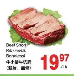 T&T Supermarket Beef Short Rib (Fresh, Boneless) offer