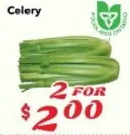 Nations Fresh Foods Celery offer