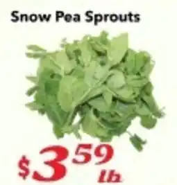 Nations Fresh Foods Snow Pea Sprouts offer