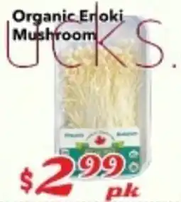 Nations Fresh Foods Organic Enoki Mushroom offer