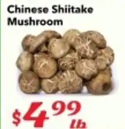 Nations Fresh Foods Chinese Shiitake Mushroom offer
