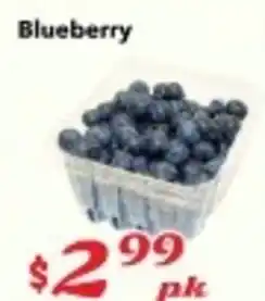 Nations Fresh Foods Blueberry offer