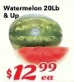 Nations Fresh Foods Watermelon & Up offer