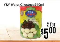 Nations Fresh Foods Y&Y Water Chestnut offer