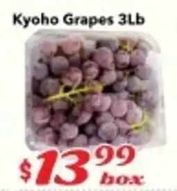 Nations Fresh Foods Kyoho Grapes offer