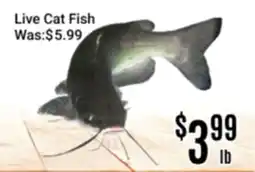 Nations Fresh Foods Live Cat Fish offer