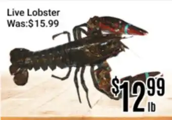 Nations Fresh Foods Live Lobster offer