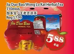 Food Depot Supermarket Jia Duo Bao/Wong Lo Kat Herbal Tea offer