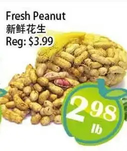 Food Depot Supermarket Fresh Peanut offer