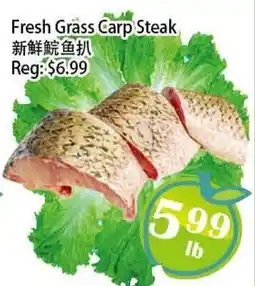 Food Depot Supermarket Fresh Grass Carp Steak offer
