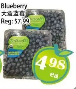 Food Depot Supermarket Blueberry offer