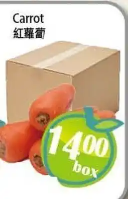 Food Depot Supermarket Carrot offer
