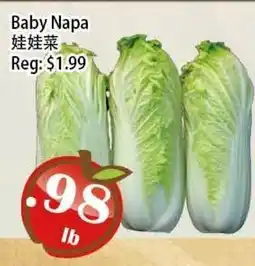 Food Depot Supermarket Baby Napa offer