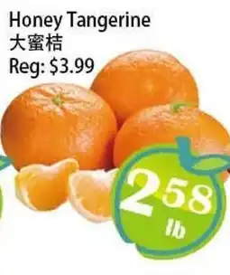 Food Depot Supermarket Honey Tangerine offer