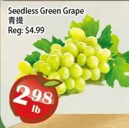 Food Depot Supermarket Seedless Green Grape offer